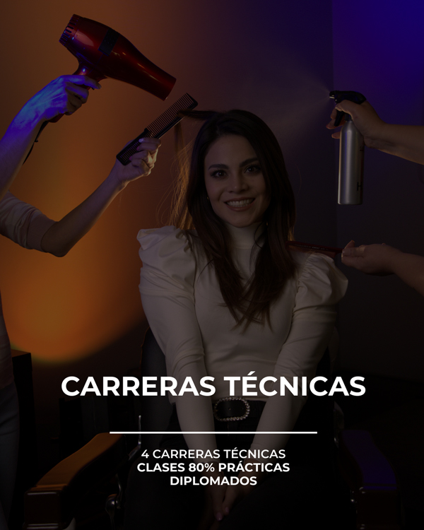 Carreras técnicas
