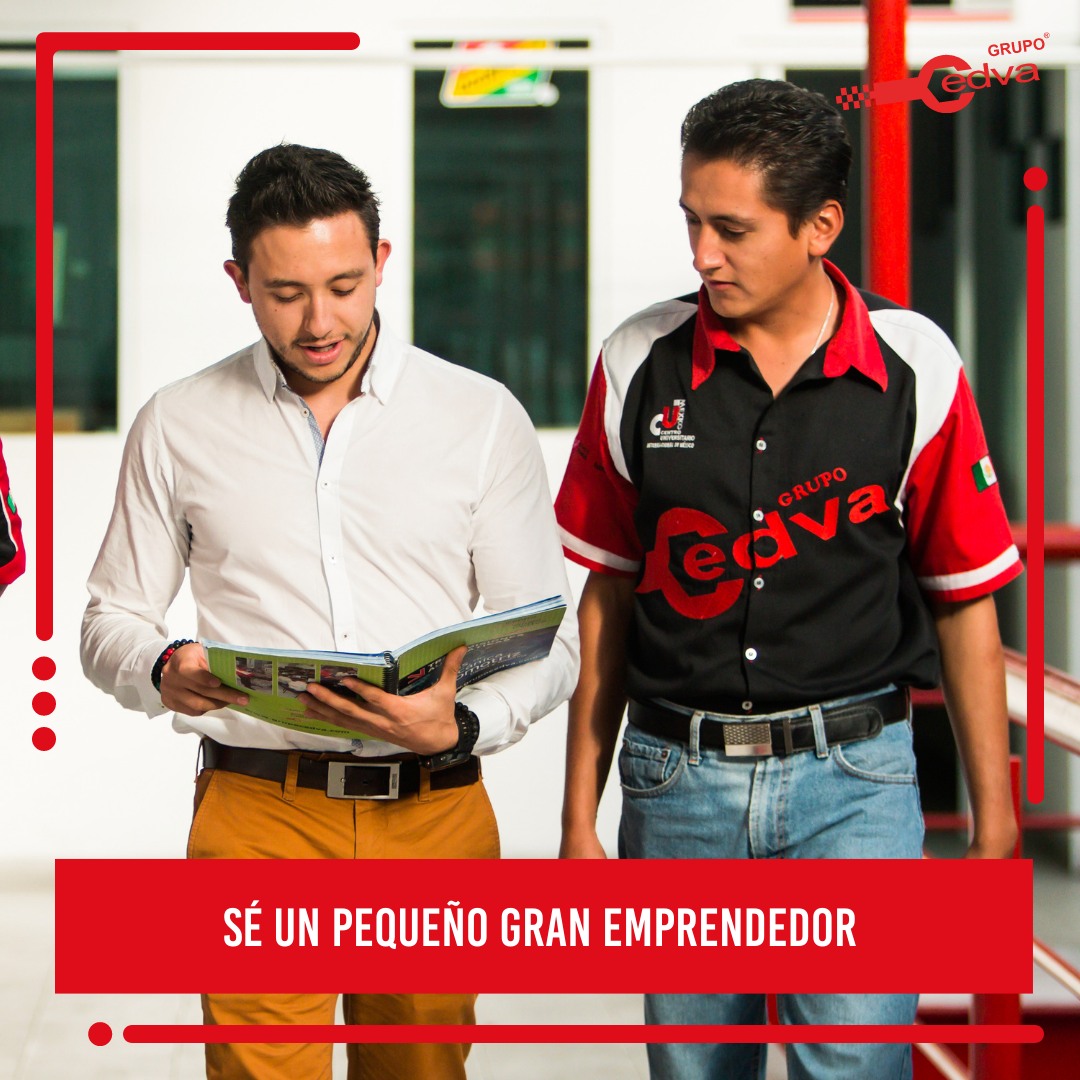 Grupo Cedva