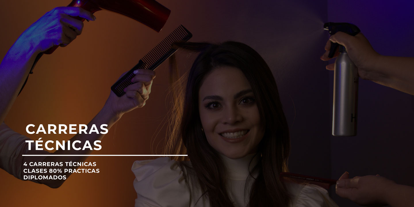 Carreras técnicas
